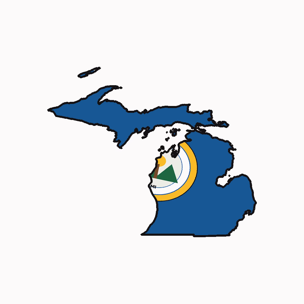 Michigan Medical Billing Practice Overview