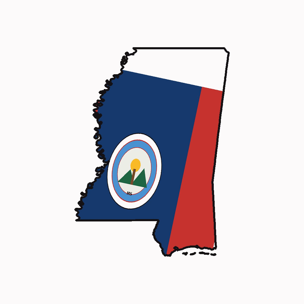 Mississippi Medical Billing Practice Overview