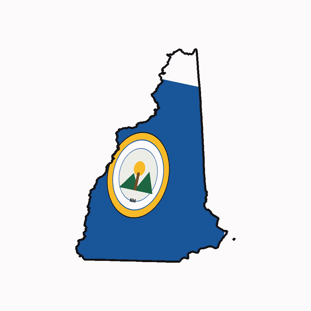 New Hampshire Medical Billing Practice Overview